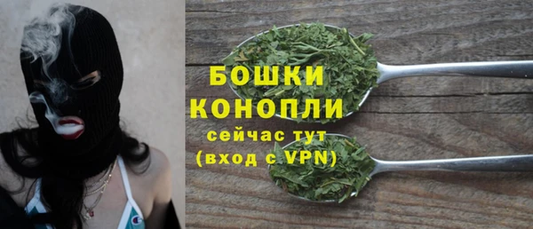 молекула духа Магас