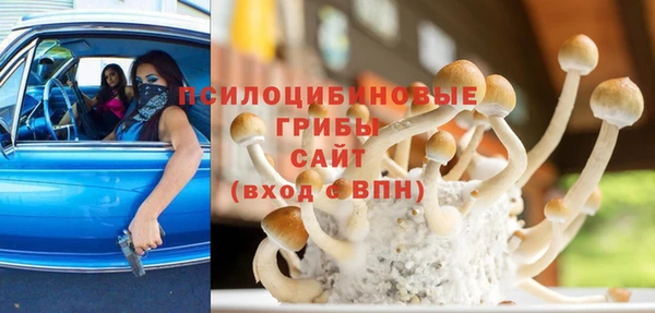 молекула духа Магас